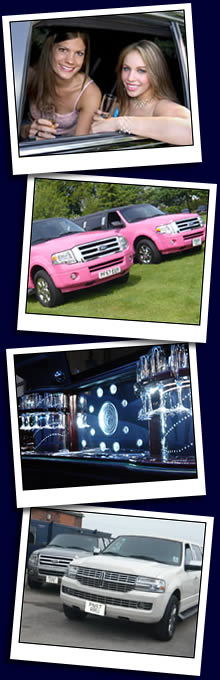 Limousine Fleet For Hire